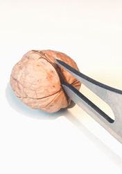 Devlínkova sedmá funkce